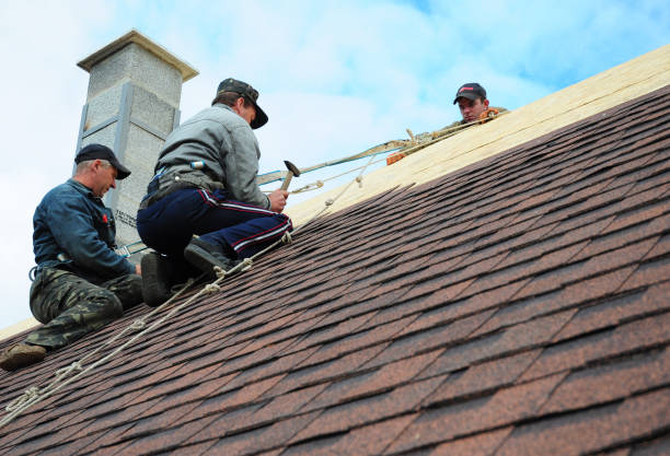 Best Roof Gutter Cleaning  in Baltic, CT